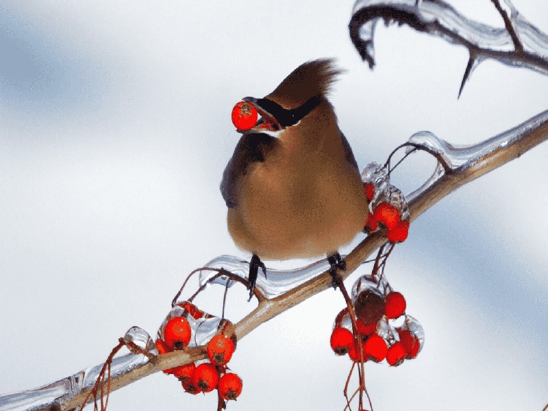 水瓶里面的试管,试管医生手记