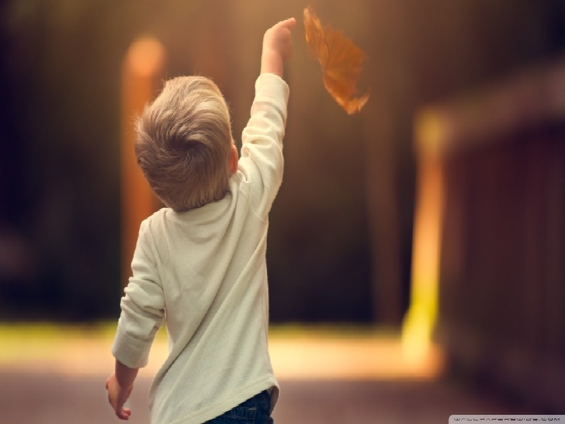 试管培育茶花苗,核酸试管采样棒